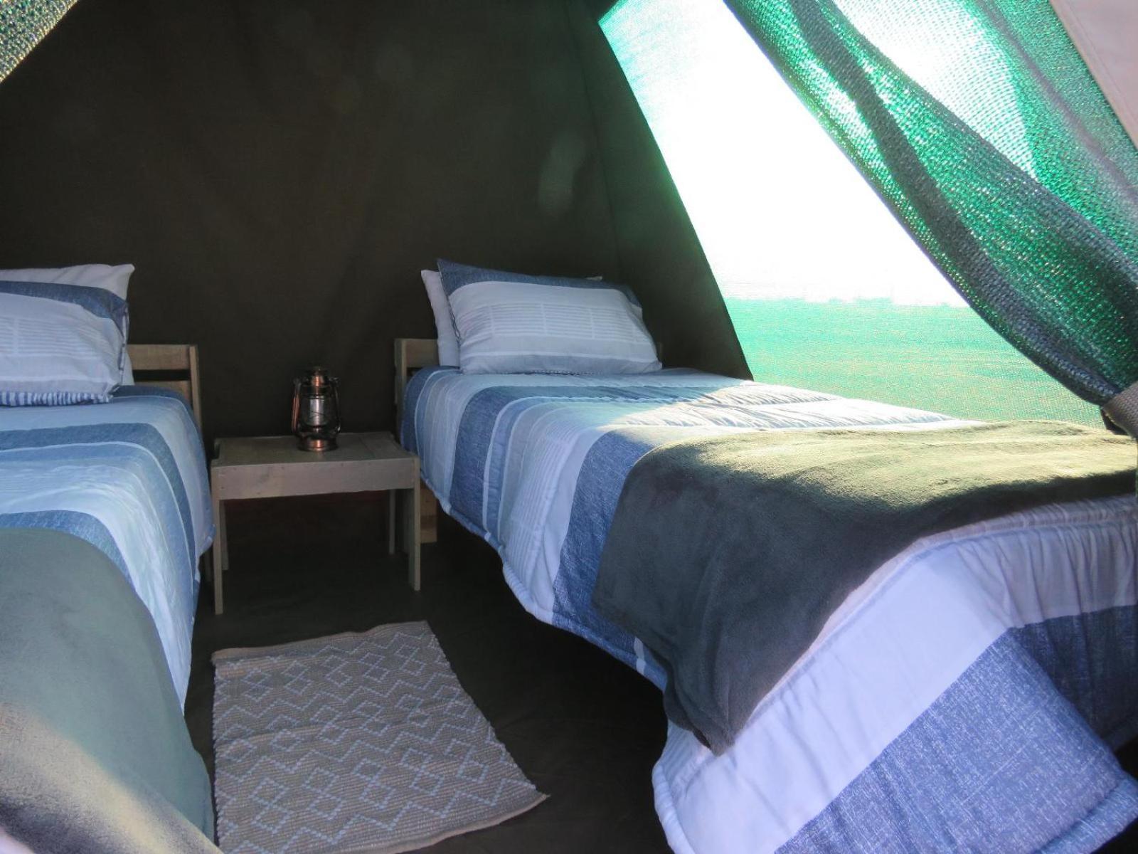 Tropic Of Capricorn Guest Farm Hotel Rehoboth Room photo