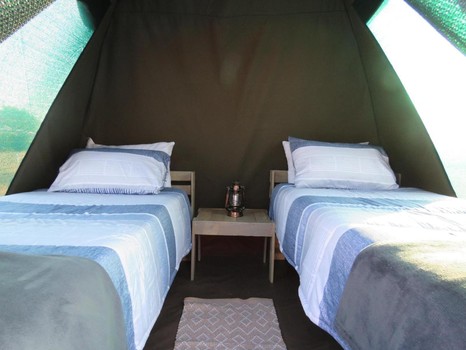 Tropic Of Capricorn Guest Farm Hotel Rehoboth Room photo